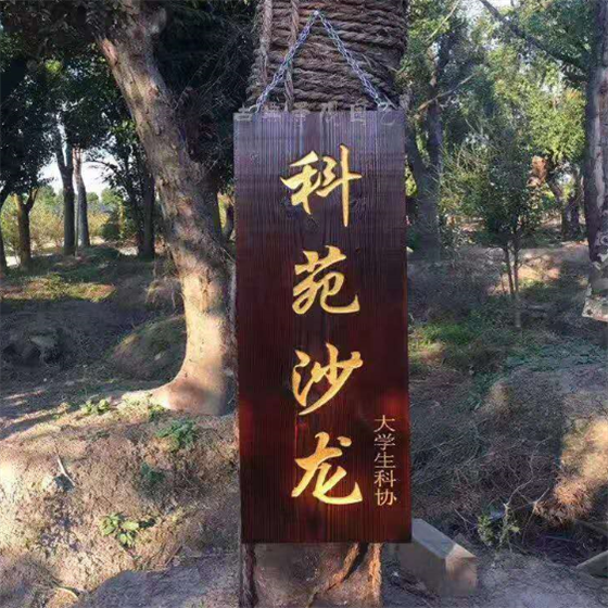 武汉木雕指示牌制作安装制作